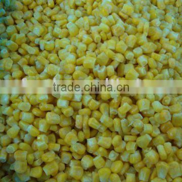 IQF sweet bulk frozen corn