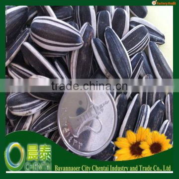 Hot Sell Good Quality Big Size Competitive Price Sunflower Seeds 50g/280p