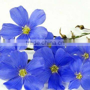 100% Nature and Pure Flaxseed Oil photo-2