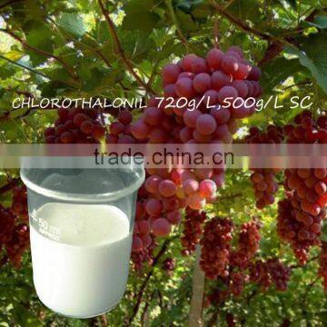 Pesticide Liquid State Fungicide Chlorothalonil 500g/l SC