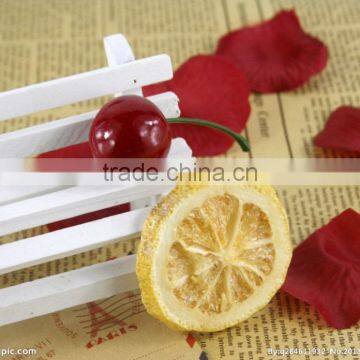 Food Vacuum Freeze Drying Lyophilizer Machine