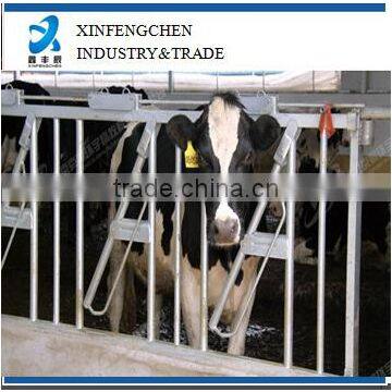 Factory price cattle head lock for sale