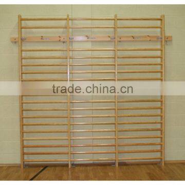 Wall Bars Gym Ball Bars photo-5