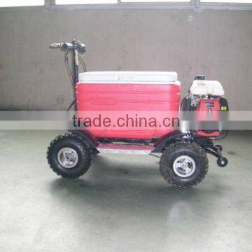 Hot Sale Popular Gas Cooler Scooter 43CC SX-G110 Popular From China photo-5