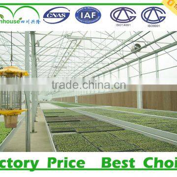 Plastic Greenhouse Agriculture