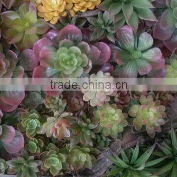 Home and outdoor decoration synthetic cheap artificial vertical green succulent grass wall E08 0408