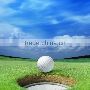 M5 Mini Blance Scooter 2016 Custom Designed for Golf for September Procurement Festival photo-3