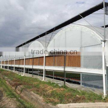 China Plastic Film Greenhouse Tunnel for Sale photo-2
