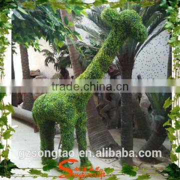 Artificial Big Carton Boxwood Topiary for Beaming With Joy Dec photo-4