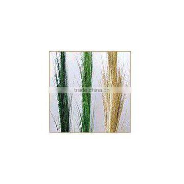 Broom Grass