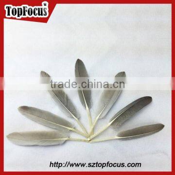 50pcs Home Decorative Dyed Natural Grey Dyed Goose Feathers Sale
