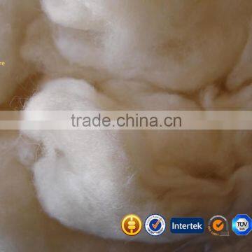 Light Grey High Quality Source of Cashmere Fibres photo-2