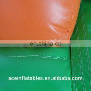 Caterpillar Theme Small Inflatable Slide for Kids photo-5