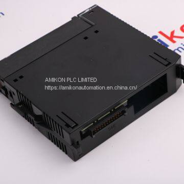 DS3820SFEB AC-INPUT MODULE