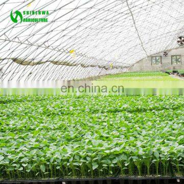 Easy Assemble Tunnel Retractable Sunlight Vegetable Strawberry Cucumber Single Span Modular Greenhouse