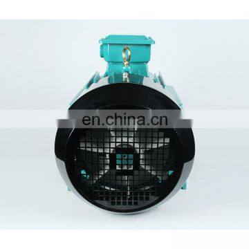 Three Phase Squirrel Cage Induction Electric Motor 5 hp 1450rpm 4kw photo-6