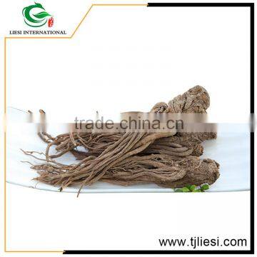 wholesale products nature angelica root extract