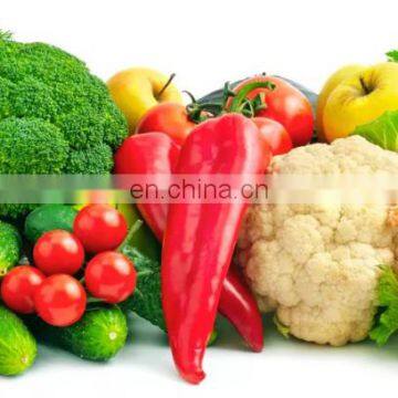 industrial vegetable and fruit washing machine vegetable washer