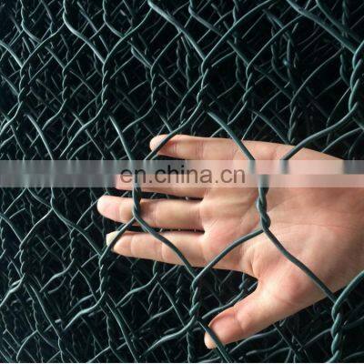 Pvc Coated Hexagonal Wire Netting for sale High Quality