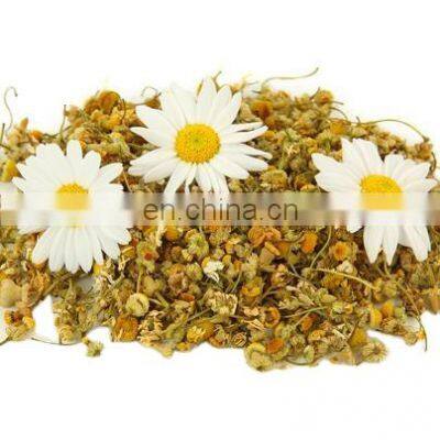 Vietnam Organic Dried Chrysanthemum Flower Tea/ High Quality Natural and Healthy Dried Daisy Flower Herbal Tea From Vietnam