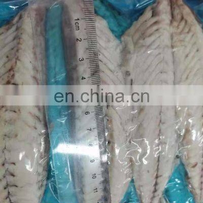 Wholesale Frozen Steamed Mackerel Fillet Block photo-4