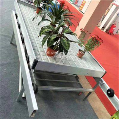 Seedbed