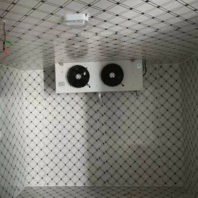Medium Size Cold Storage,Cold Room,Cold House photo-4