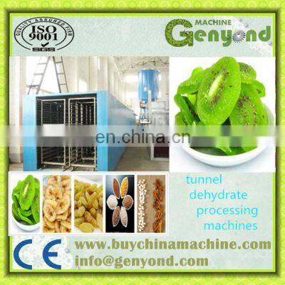 Fruit and Food Microwave Tunnel Dryer/Dehydrator and Sterilizer Machine photo-2