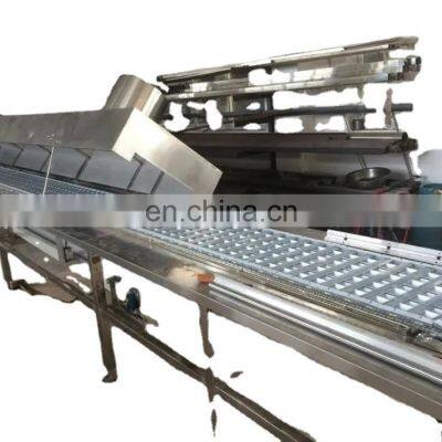 Custom automatic jaggery plant with osmanthus production line in low price