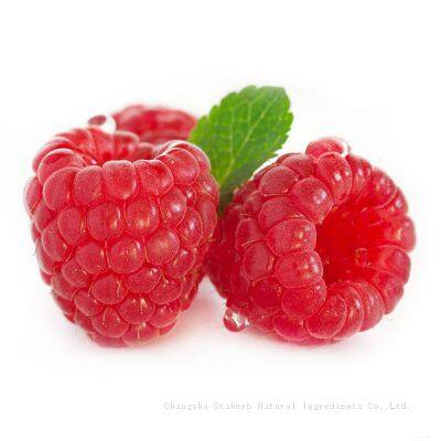 100% Natural Raspberry Extract, Raspberry Ketone 99% for Weight Loss Cas Number 5471-51-2 photo-2