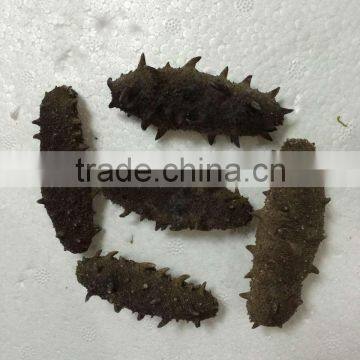 China Stichopus Japonicus, Dried Sea Cucumber in China