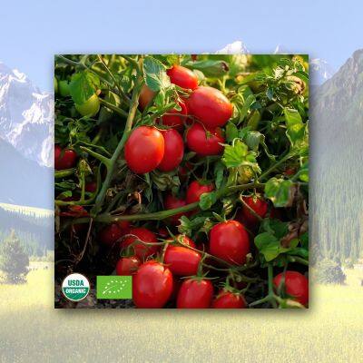 Organic Tomato Paste photo-5