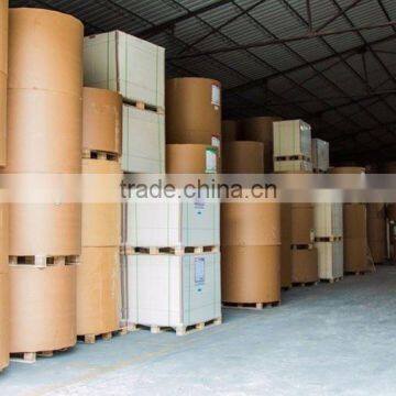 Advantage Price Paper Rolls For Paper Cups Disposable Paper Products photo-6