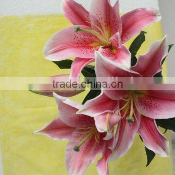 Fragrant aroma newest products for 2015 fresh cut lilies flower