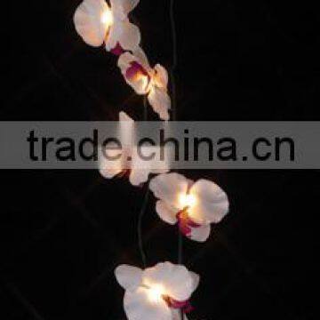 wedding decoration lights