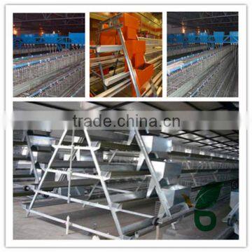 full equipped automatic pullet feeding system