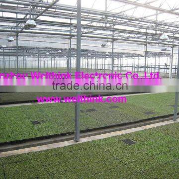 horticulture Lighting ballast,1000w,600w,400w,250w