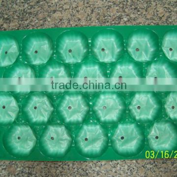 Plastic Green Container Punnet For Packing Apple