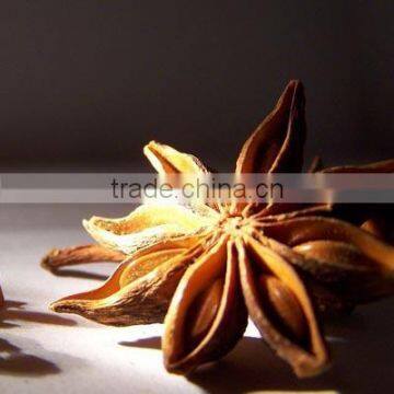 High Quality Star Anis Extract(5:1,10:1,20:1)