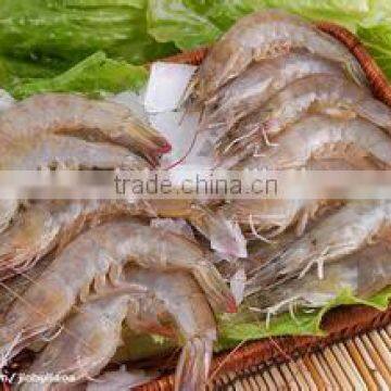 Frozen Food Metal Detector (SW-D300) photo-6