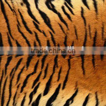 Wholesale Antislip Bathroom Door Mat photo-2