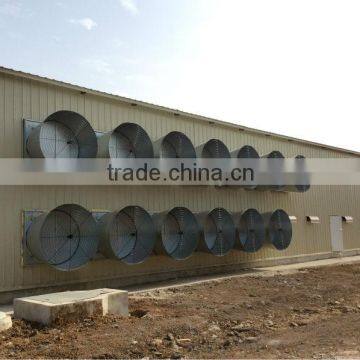 uae chicken farm poultry equipment for sale