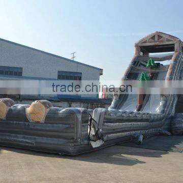 New Product Palm Tree Inflatable Water Slide Giant Inflatable Water Slide for Adult photo-3