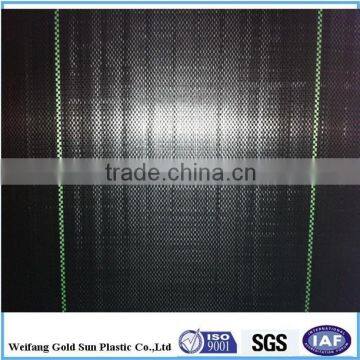 PP Export EU USA Woven Geotextile/Pp Woven Fabric/Ground Cover photo-2
