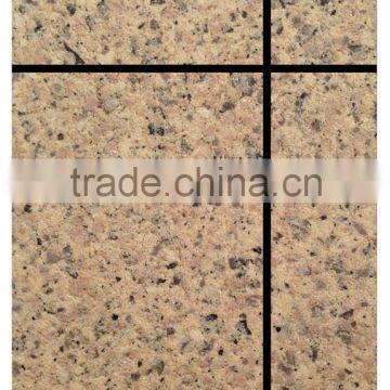 Anti-fungus stone simulation paint with favorable price