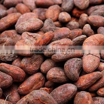 CACAO BEANS CRIOLLO