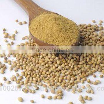 Coriander Powder