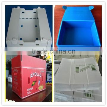 PP plastic okra coroplast package box