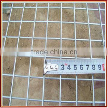 Competitive 1 inch galvanized welded wire mesh(anping factory)