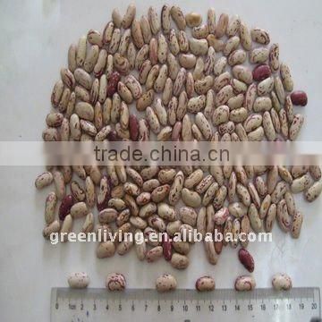 chinese red speckled beans(dry)